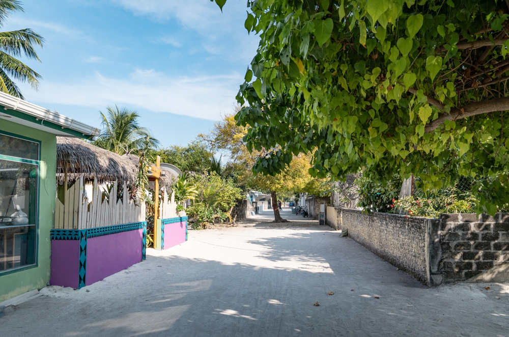 Local Island Guesthouse